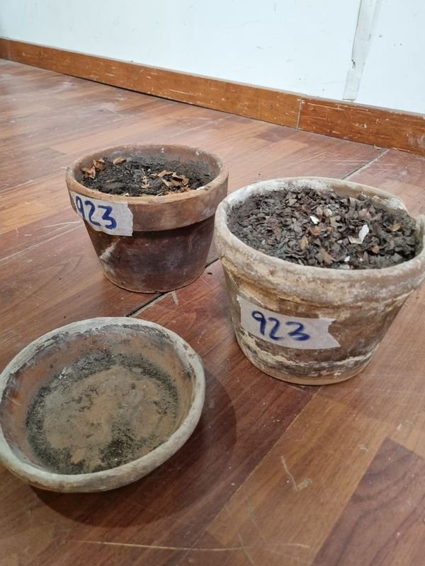 Macetas de barro para decorar el hogar - imagen 4