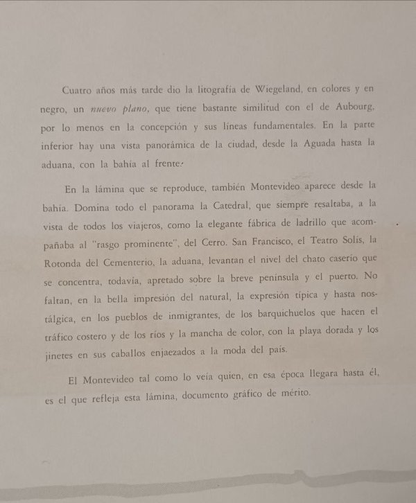 Litografía histórica de Montevideo por L. Wiegeland (1866) - imagen 15