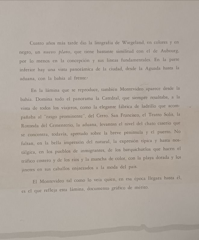 Litografía histórica de Montevideo por L. Wiegeland (1866) - imagen 15