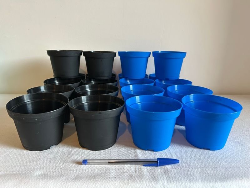 Item 893421 - Image 3