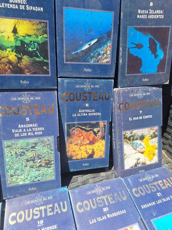 Item 873760 - Image 6