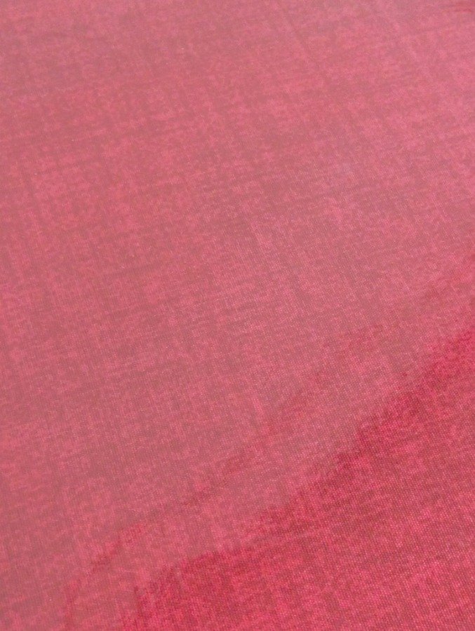 Sábanas ROJA GUARDA DORADA - Conjunto de 4 piezas y 2 cojines - imagen 4