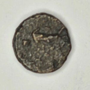 Lote anterior: Moneda Antigua Imperio Seléucida, Grecia Helenística 246-226 a.C.