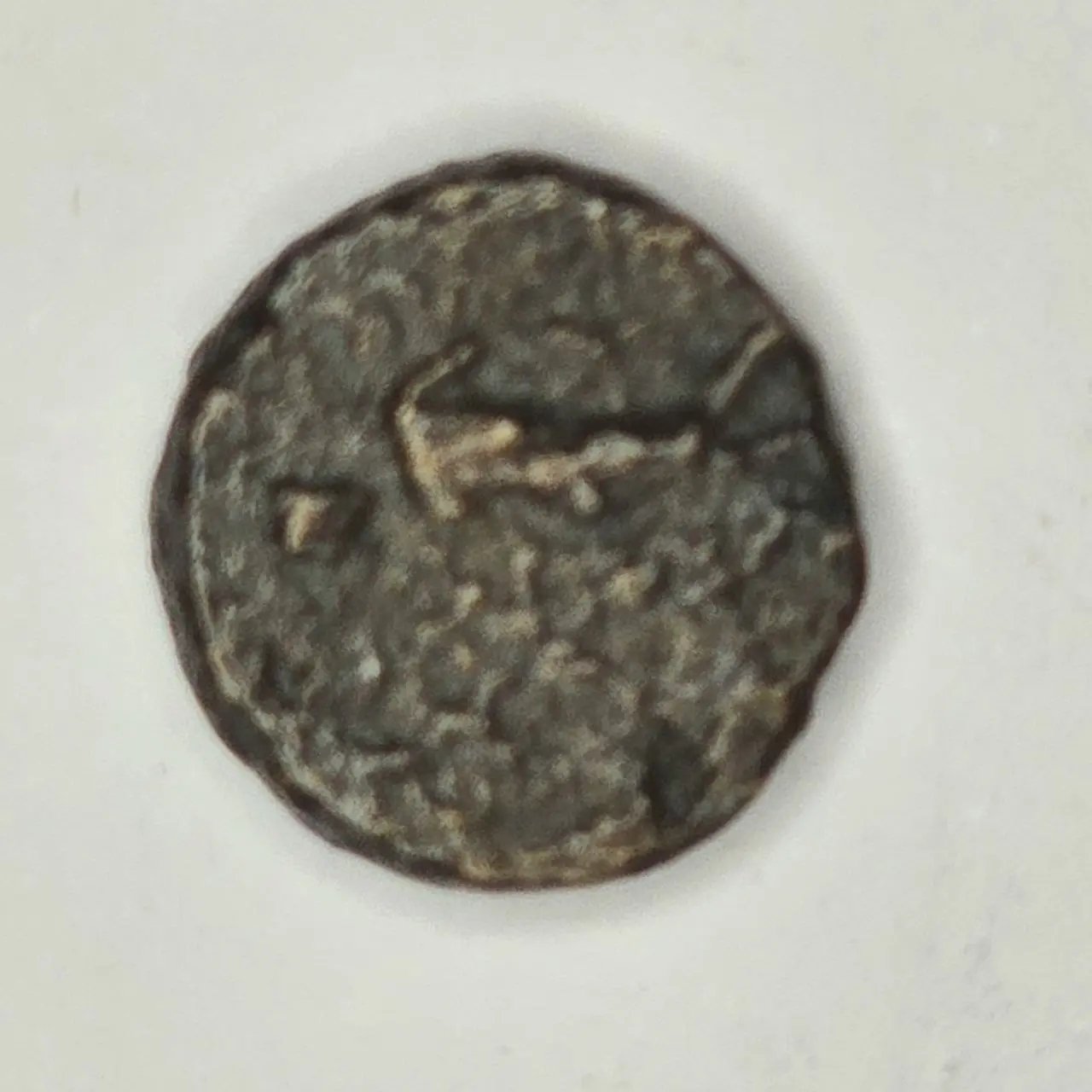 Moneda Antigua Imperio Seléucida, Grecia Helenística 246-226 a.C.