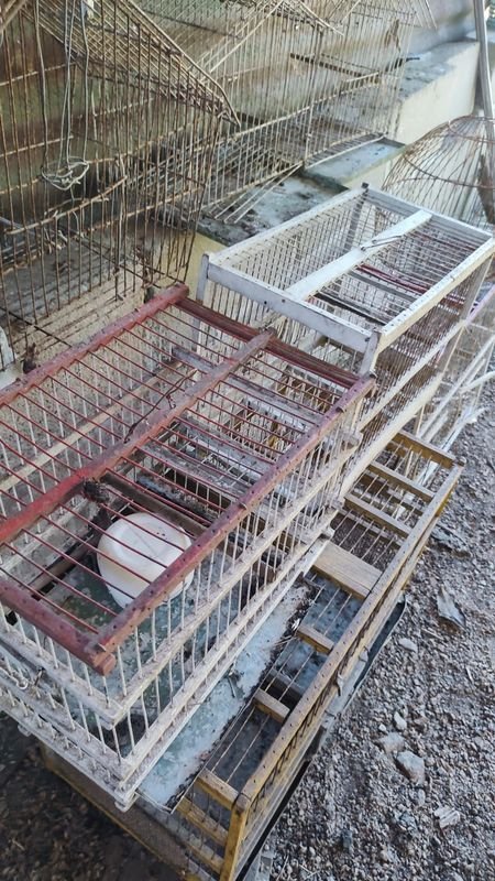 Item 869947 - Image 2