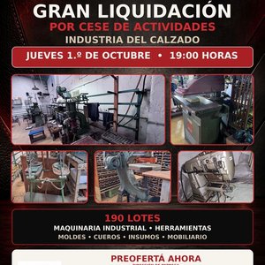 Lote anterior: Gran Liquidación por Cese de Actividades: Maquinaria Industrial y Herramientas