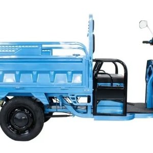 Tricargo Eléctrico Azul 500 Kg 0 Km - imagen 7