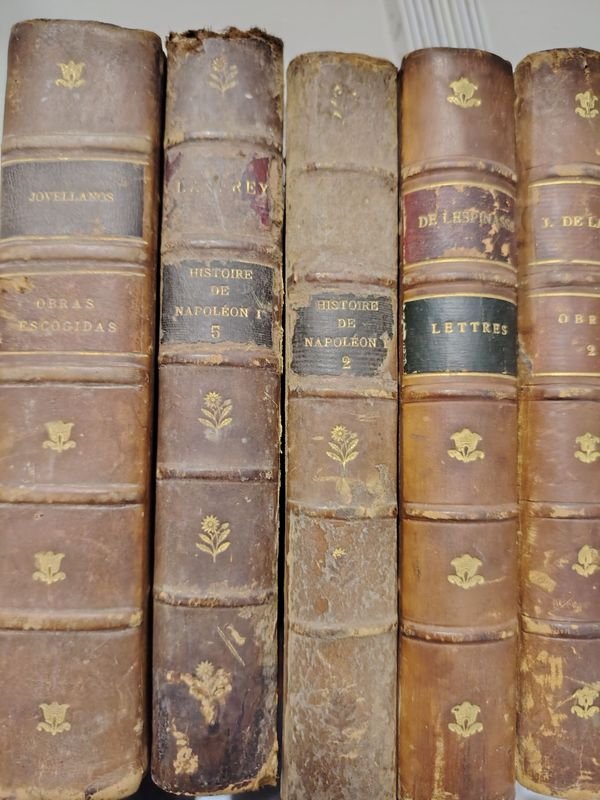 Item 901617 - Image 1