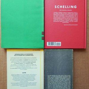 Lote de 4 Libros de Sociología: La Muchedumbre Solitaria, Schelling, Introducción a la Sociología y Teoría de las Clases Sociales - imagen 2