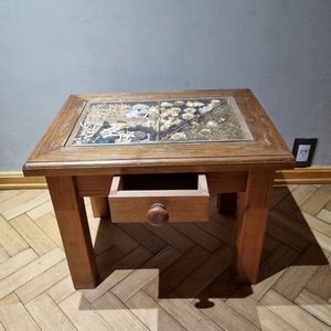 Mesa Ratona Original con Tapa Vitrina Decorativa de Elementos Naturales - imagen 2