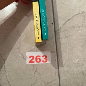 Colección Dominós: La Procreación Artificial y La Explosión Demográfica - imagen 2