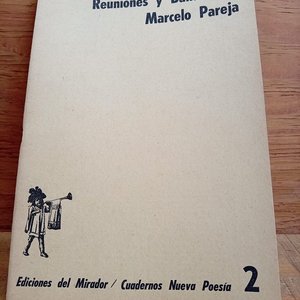 Lote anterior: Publicación Facsímil "Reuniones y Banderas" de Marcelo Pareja