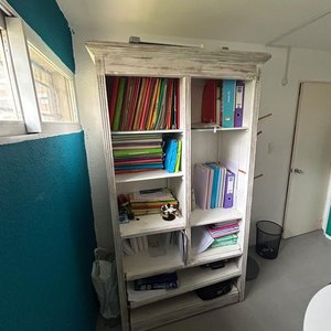 Biblioteca Blanca de Pino - imagen 3