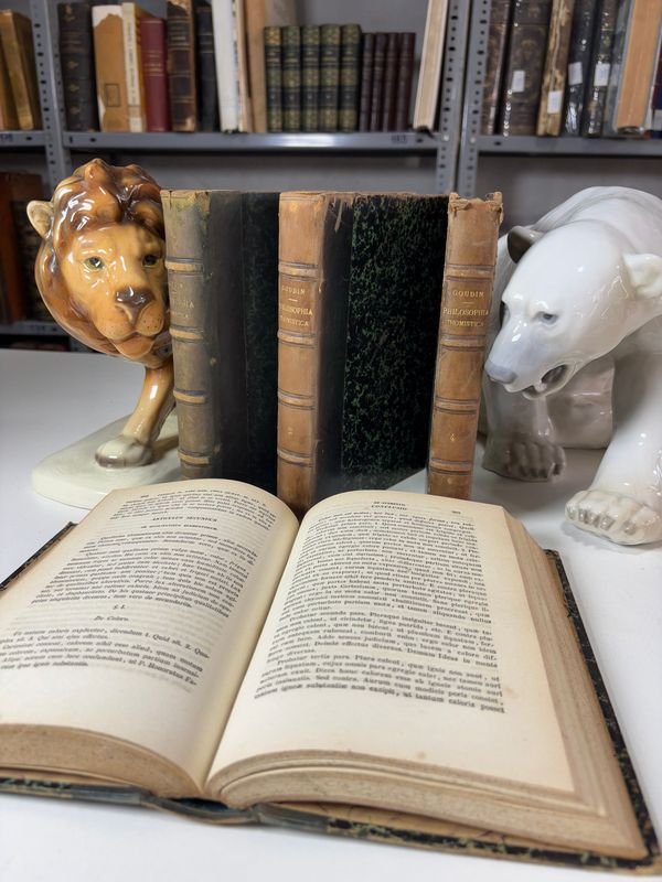 Item 879426 - Image 3