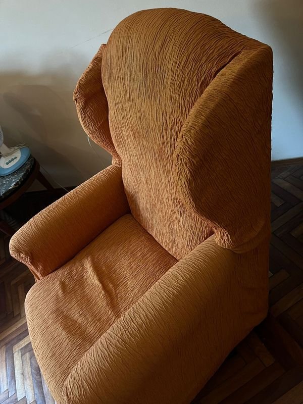 Sillón bergere con funda de cuero - imagen 7