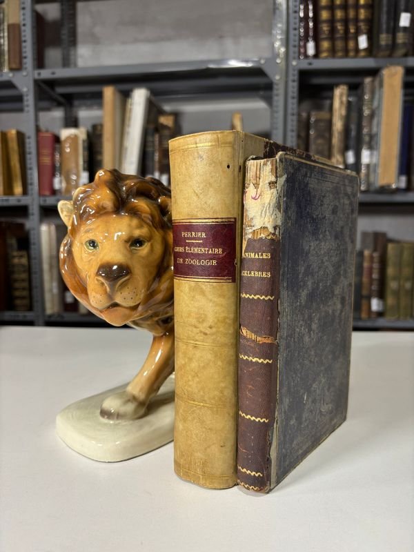 Lote siguiente: Libros de Zoología del Siglo XIX y Estatua de León