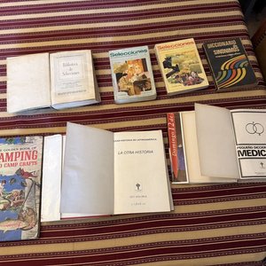 Lote siguiente: Lote de 8 Libros Variados: Camping, Historia, Diccionarios y Más