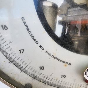 Balanza Precisa de Pie con Plato Esmaltado, Capacidad 20 Kg - imagen 4