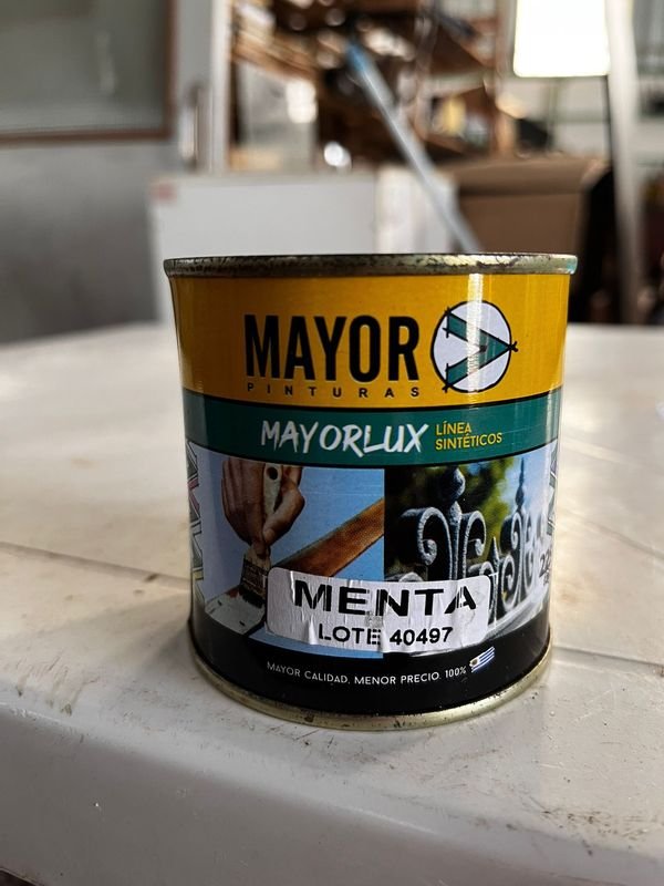 Pintura para Pisos Mayorlux Menta 225 ml