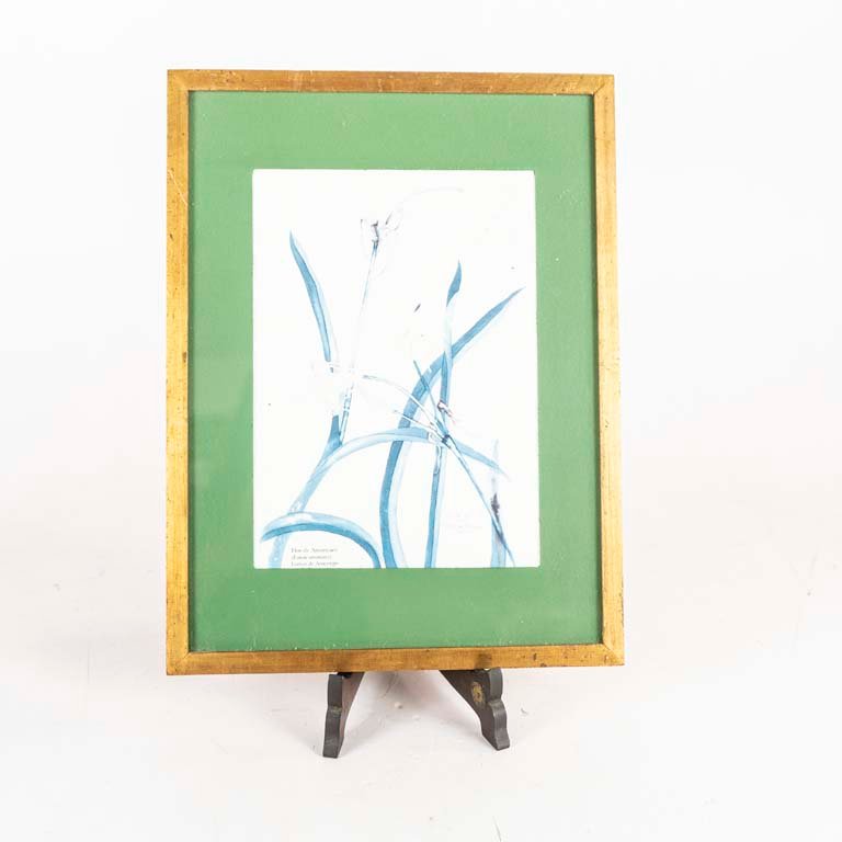 Item 2106045 - Image 0