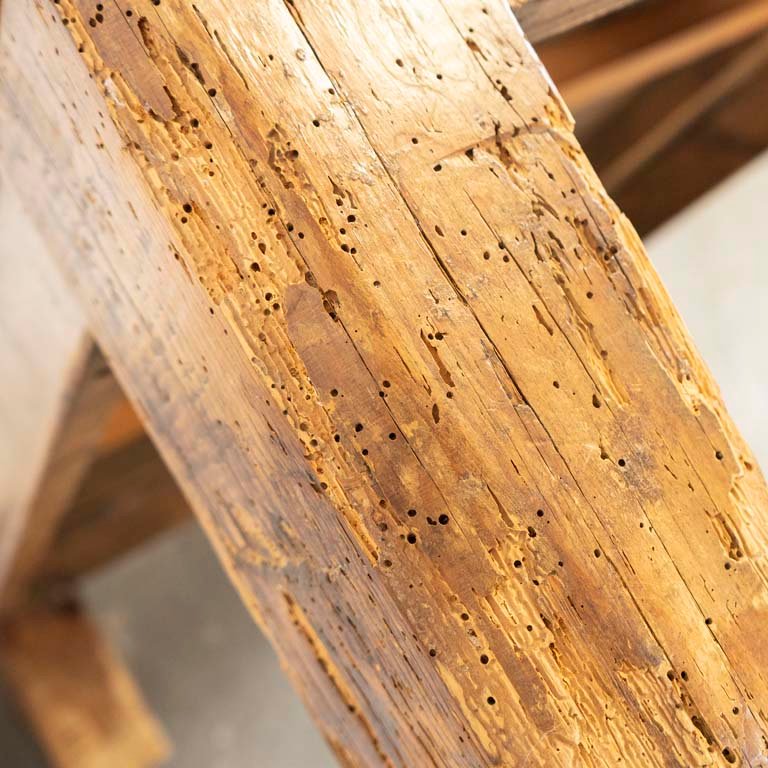 Item 2108776 - Image 2