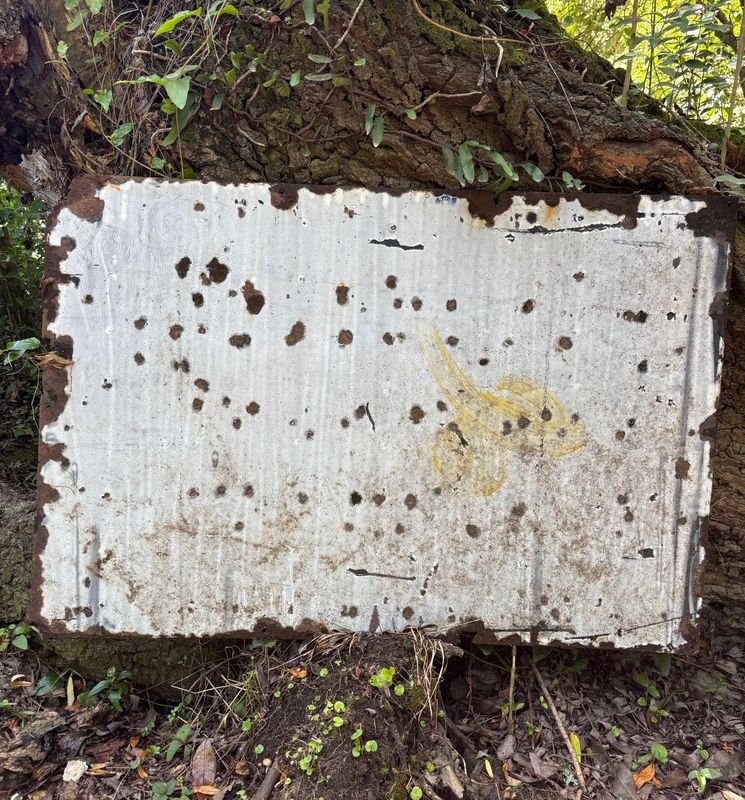 Item 852889 - Image 1