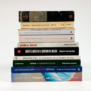 Lote de 11 Novelas de Autores Diversos: Nelson Fernández, Luis Suárez, Fernando Amado, Pablo Cohen y más - imagen 2