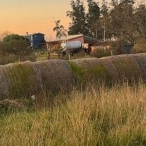Lote siguiente: Rollos de Pasto Seco Grandes Enfardados