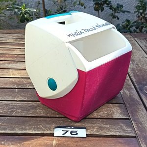 Conservadora portátil Little Lunchmate by Igloo y dos Cubeteras de Hilo de aluminio - imagen 7