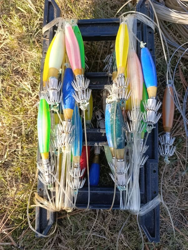 Equipo de Pesca Completo - imagen 3
