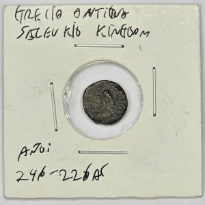 Moneda Antigua Imperio Seléucida, Grecia Helenística 246-226 a.C. - imagen 3