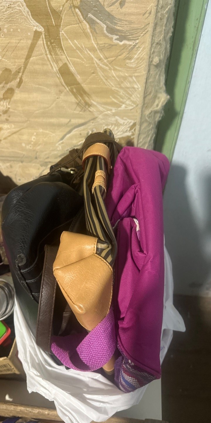 Lote de Carteras y Bolsos de Moda