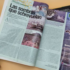 Lote de 4 Revistas de Pesca y Náutica: Panorama de Pesca, El Pato, Catálogos Casa Japón y Zodiac - imagen 21