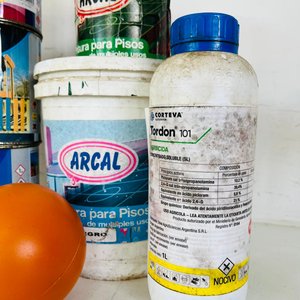 Lote de Pinturas, Esmaltes y Rodillo para Pisos - imagen 3