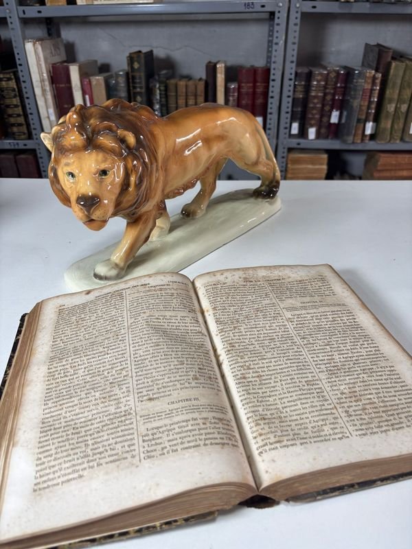 Item 879416 - Image 2