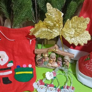 Adornos Navideños: Ramas de Pino, Gorros, Pesebre y Luces de Papá Noel - imagen 2
