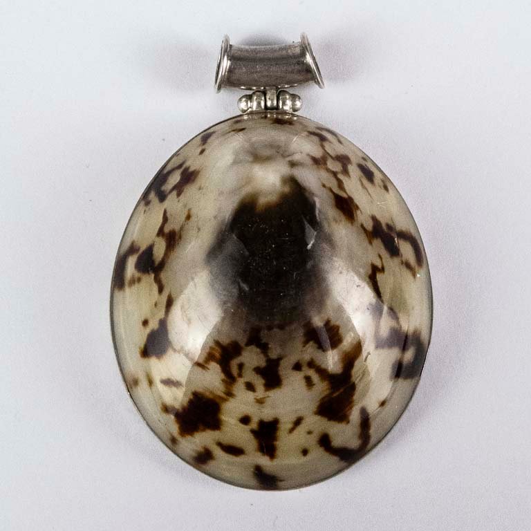 Colgante Ostra en Plata con Detalles Marrones