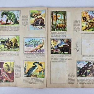 Álbumes de Cromos "Conozcamos el Mundo" y "Razas Humanas" (1960s) - imagen 10