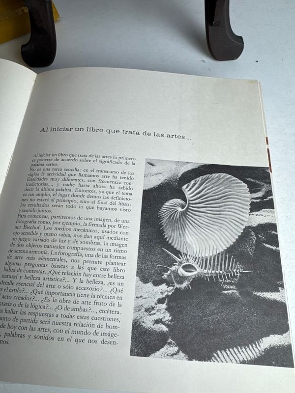 Item 872079 - Image 13