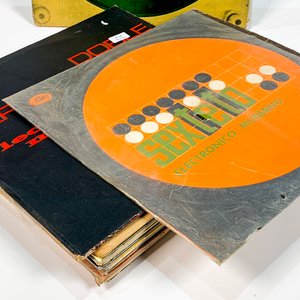 Lote de 15 Discos LP con Títulos Variados - imagen 2