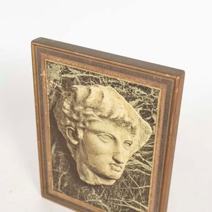 Cuadro Relieve Busto Alejandro Magno Moribundo 23x30 cm - imagen 2