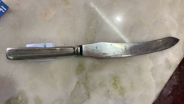Cuchillo de Trinchar con Manija y Hoja - imagen 3