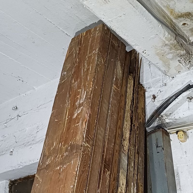 Siete pinoteas con rastros de polilla para venta - imagen 5