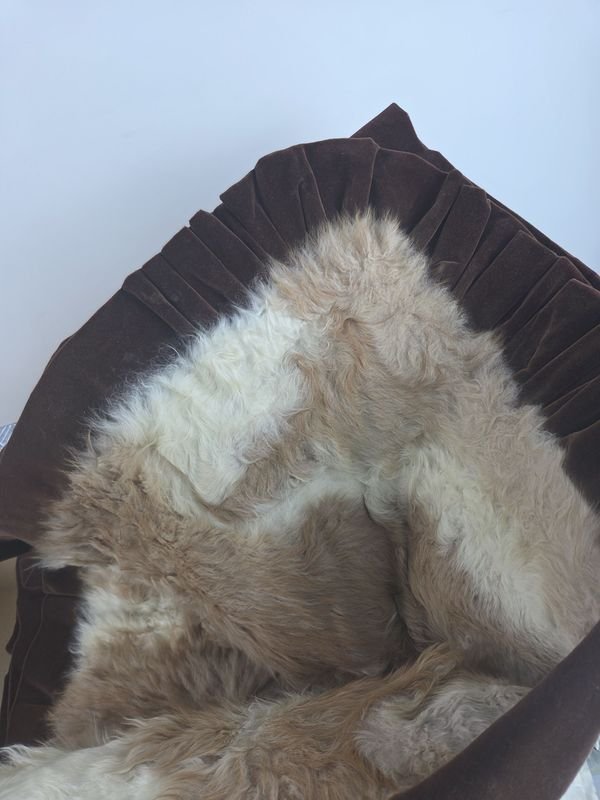 Item 888810 - Image 2