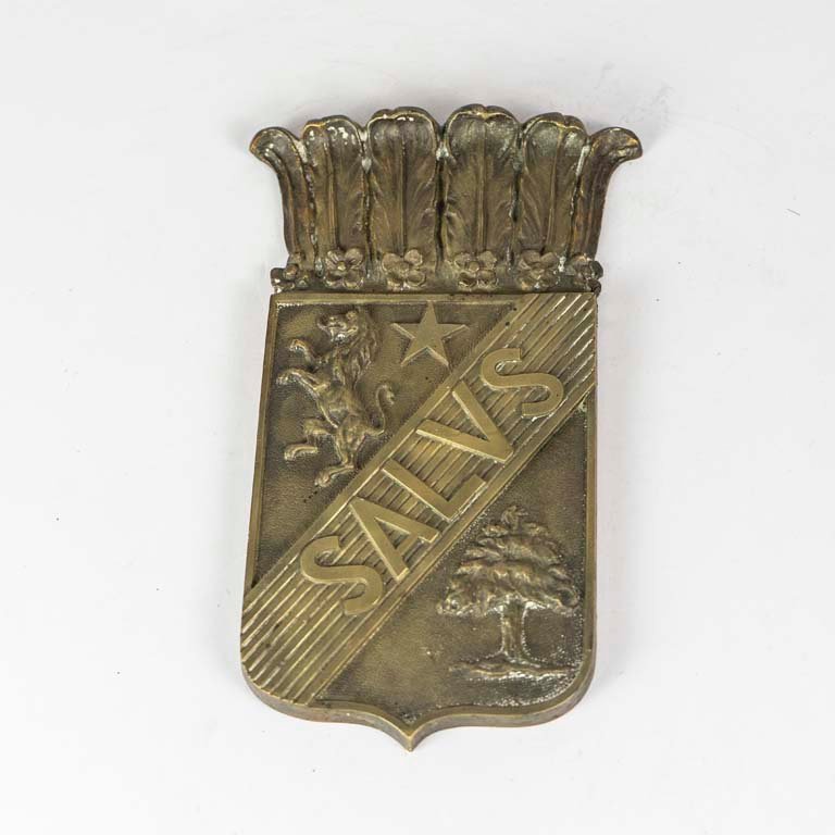 Lote anterior: Placa de bronce SALUS - Medidas: 21X10cm