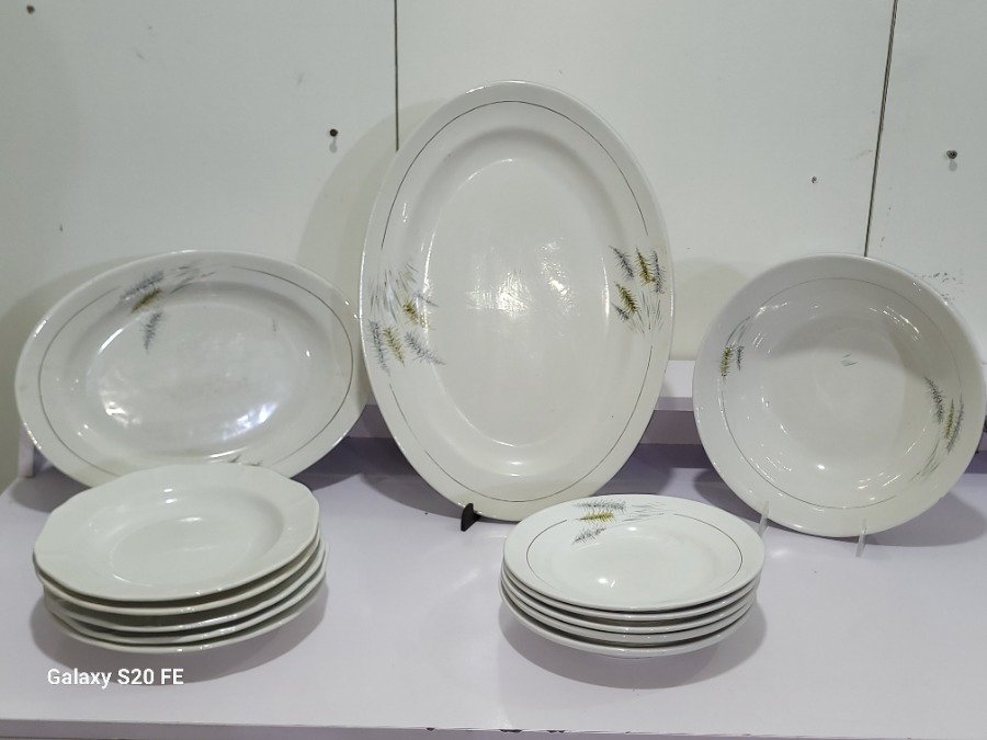 Lote de Vajilla de Porcelana Blanca con Diseño de Espigas: Fuentes y Platos