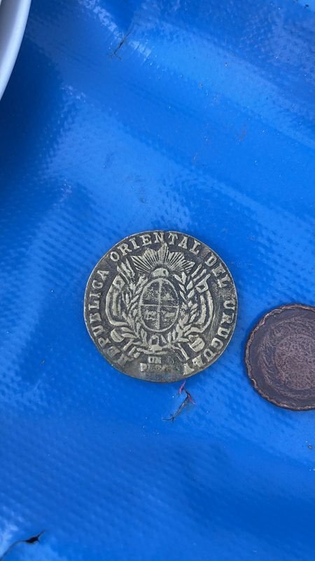 Item 842817 - Image 4