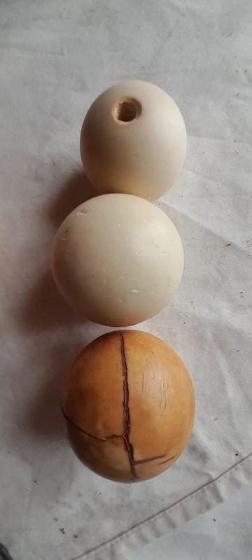 Item 878800 - Image 1