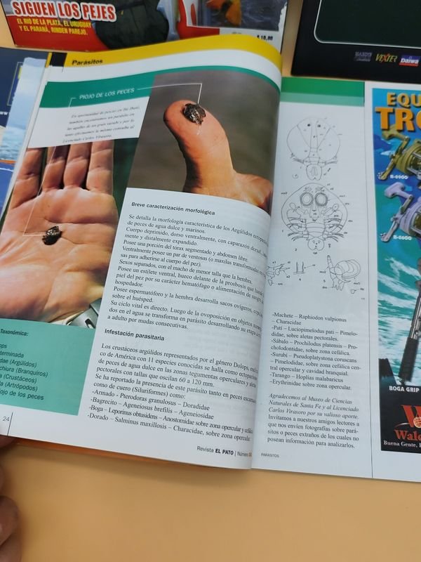 Revistas de Pesca y Embarcaciones - imagen 9