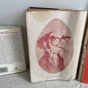 Lote de Libros sobre Política Argentina y Peronismo - imagen 6